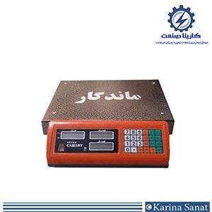 ترازو 100 کیلویی ماندگار